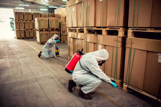 Best Termite Control Services  in Esperance, WA