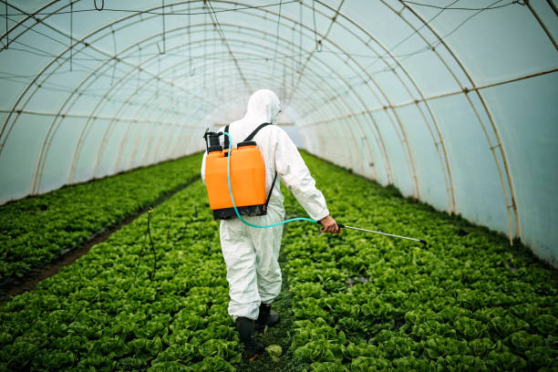 Best Ant Control Services  in Esperance, WA
