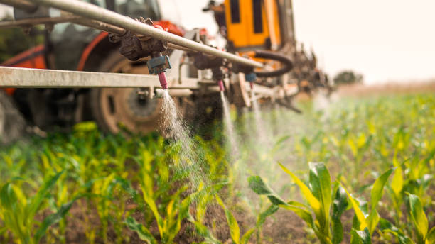Best Pest Removal Services  in Esperance, WA