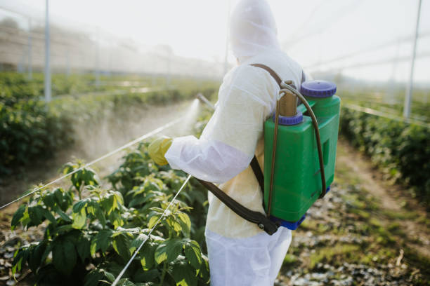 Best Local Pest Control Services  in Esperance, WA